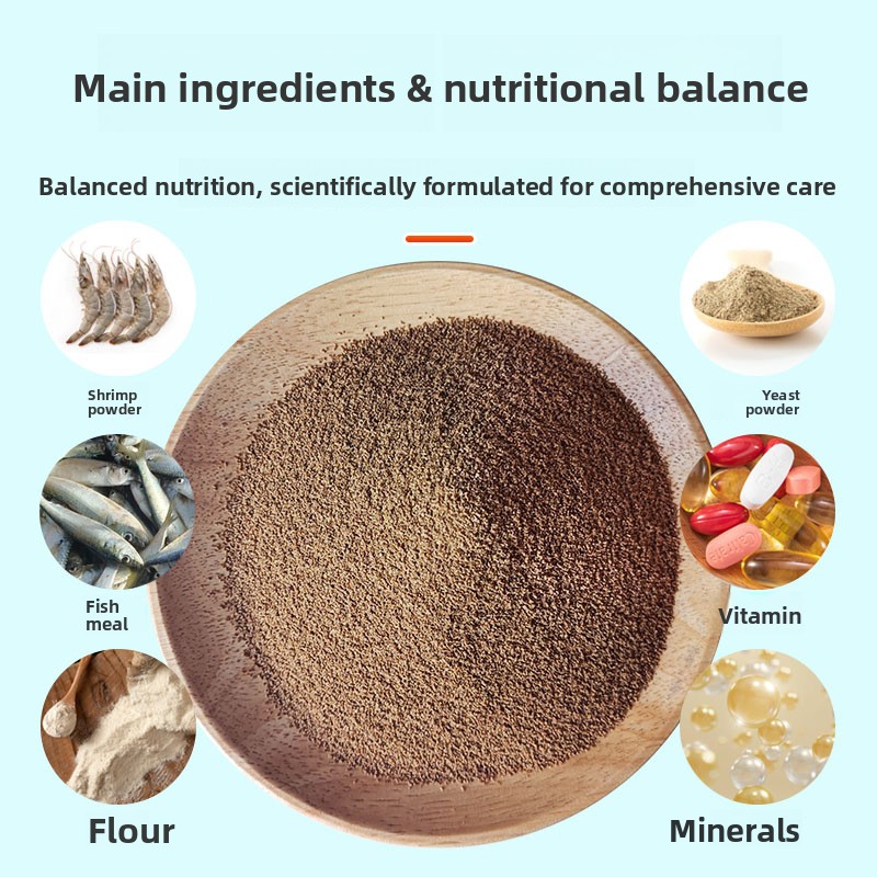 DINGZU Mini Cichlid Food de al - Baby Food High In Protein avaliação e preço